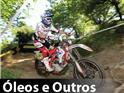 Óleos e Outros