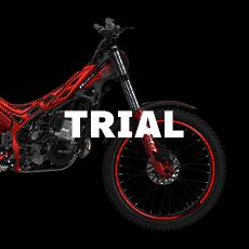 Trial 