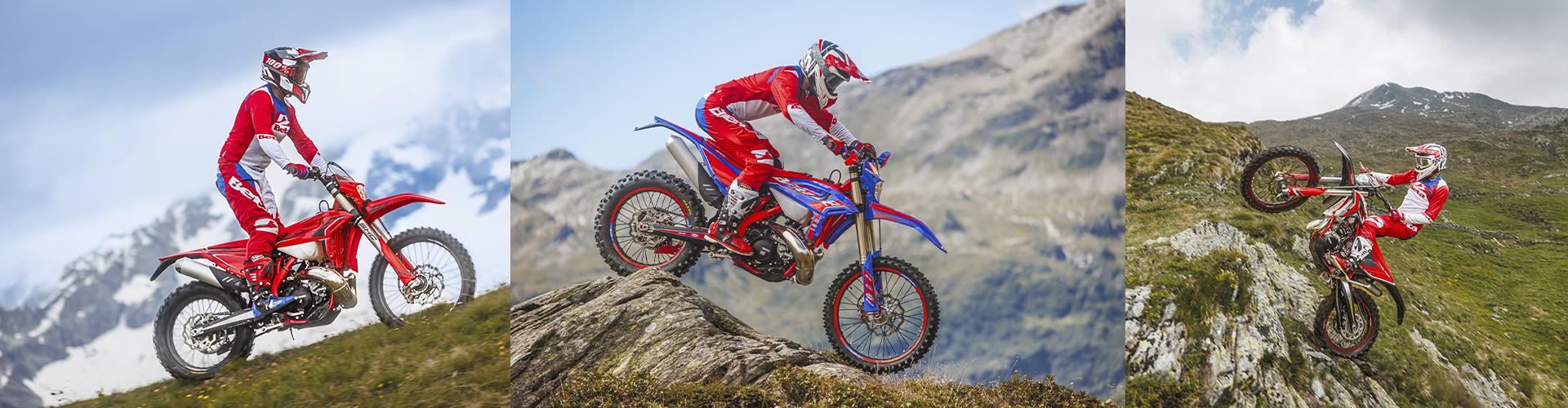 Betamotor